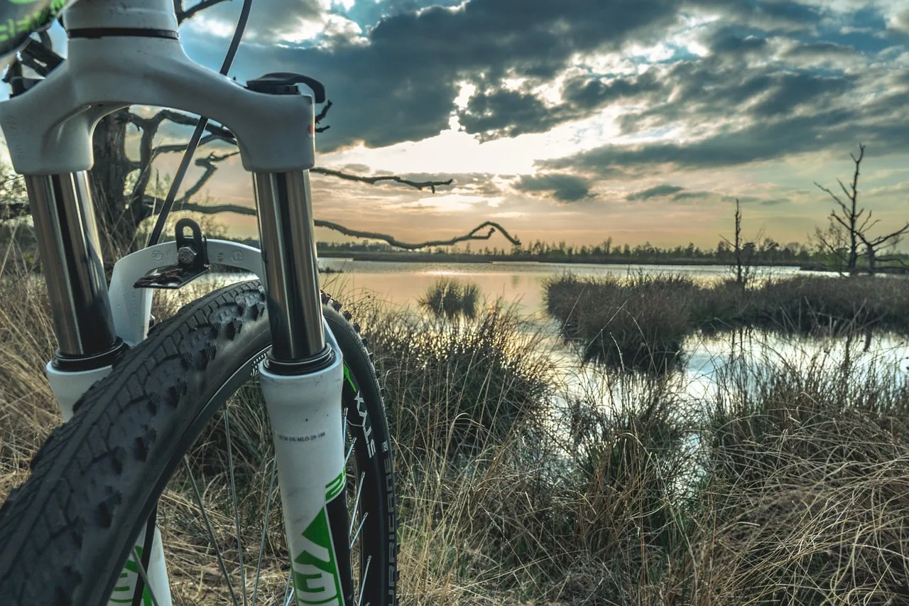 Amortyzowany widelec i opona roweru górskiego MTB w terenie